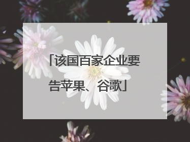 该国百家企业要告苹果、谷歌