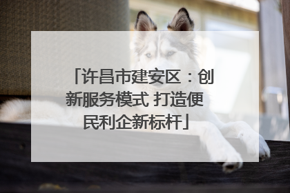 许昌市建安区：创新服务模式 打造便民利企新标杆