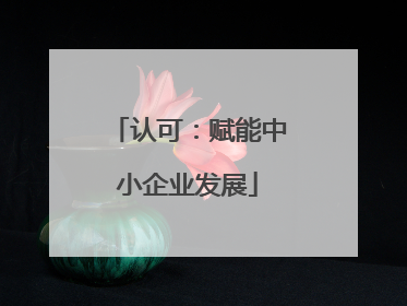 认可：赋能中小企业发展