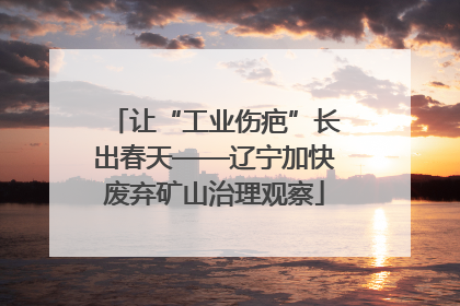 让“工业伤疤”长出春天——辽宁加快废弃矿山治理观察