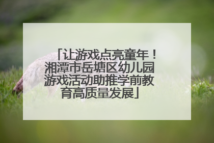 让游戏点亮童年！湘潭市岳塘区幼儿园游戏活动助推学前教育高质量发展
