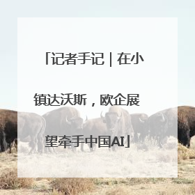 记者手记｜在小镇达沃斯，欧企展望牵手中国AI