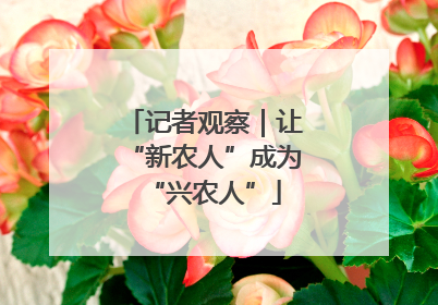 记者观察｜让“新农人”成为“兴农人”
