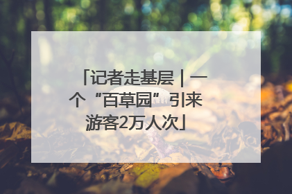 记者走基层｜一个“百草园”引来游客2万人次