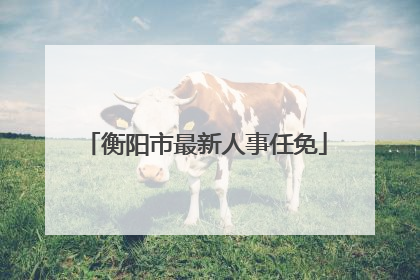 衡阳市最新人事任免
