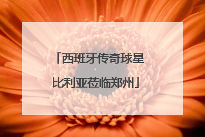 西班牙传奇球星 比利亚莅临郑州