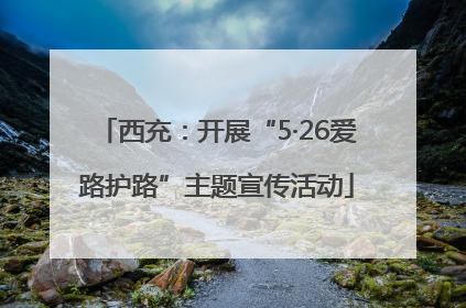 西充：开展“5·26爱路护路”主题宣传活动