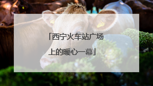 西宁火车站广场上的暖心一幕