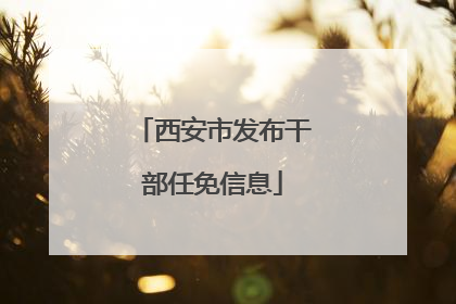 西安市发布干部任免信息