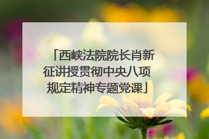 西峡法院院长肖新征讲授贯彻中央八项规定精神专题党课