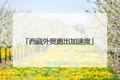 西藏外贸跑出加速度