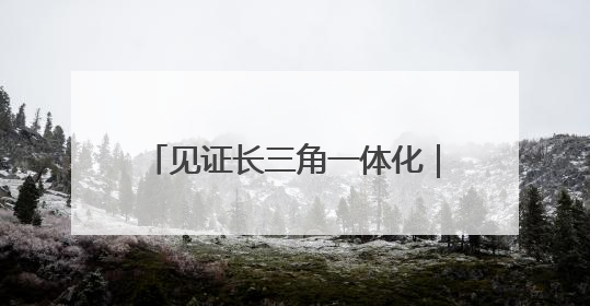 见证长三角一体化｜“进一扇门，办两省事”记者探访苏皖“两省一街”警务室