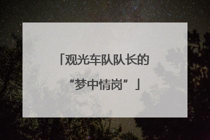 观光车队队长的“梦中情岗”