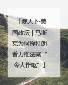 观天下·美国政坛｜马斯克为何称特朗普力推法案“令人作呕”