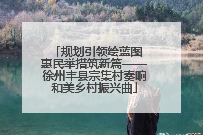 规划引领绘蓝图 惠民举措筑新篇——徐州丰县宗集村奏响和美乡村振兴曲