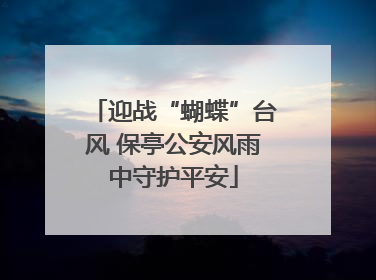 迎战“蝴蝶”台风 保亭公安风雨中守护平安