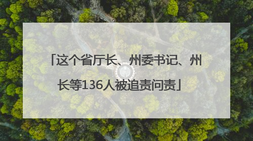 这个省厅长、州委书记、州长等136人被追责问责