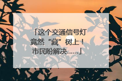 这个交通信号灯竟然“藏”树上！市民盼解决……