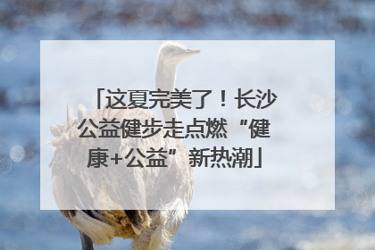 这夏完美了！长沙公益健步走点燃“健康+公益”新热潮