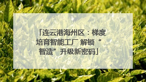 连云港海州区：梯度培育智能工厂 解锁“智造”升级新密码