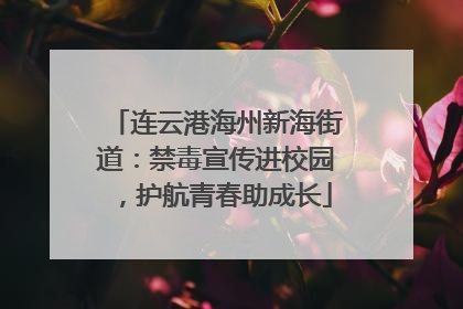 连云港海州新海街道：禁毒宣传进校园，护航青春助成长