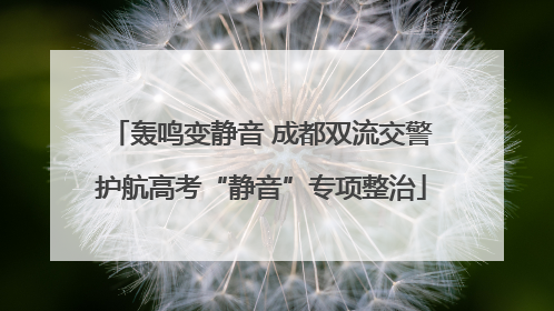 轰鸣变静音 成都双流交警护航高考“静音”专项整治