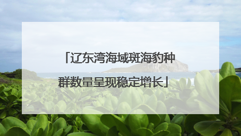 辽东湾海域斑海豹种群数量呈现稳定增长