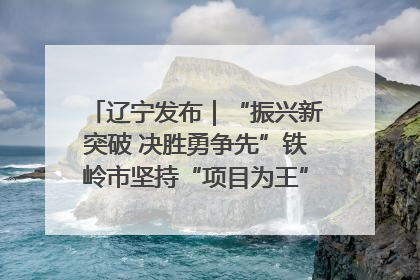 辽宁发布｜“振兴新突破 决胜勇争先”铁岭市坚持“项目为王”推进经济高质量发展