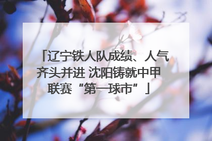 辽宁铁人队成绩、人气齐头并进 沈阳铸就中甲联赛“第一球市”