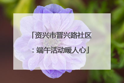 资兴市晋兴路社区：端午活动暖人心