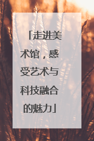 走进美术馆，感受艺术与科技融合的魅力