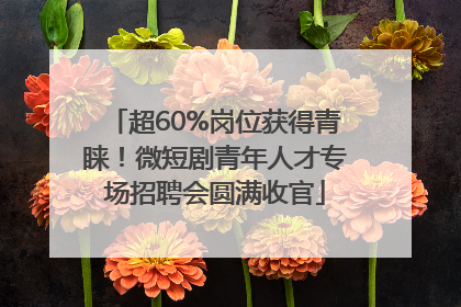 超60%岗位获得青睐！微短剧青年人才专场招聘会圆满收官