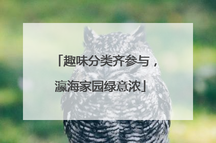 趣味分类齐参与，瀛海家园绿意浓