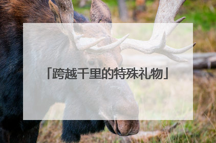 跨越千里的特殊礼物