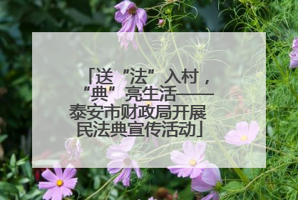 送“法”入村，“典”亮生活——泰安市财政局开展民法典宣传活动