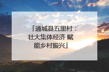 通城县五里村：壮大集体经济 赋能乡村振兴