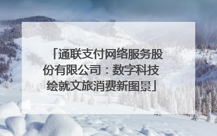 通联支付网络服务股份有限公司：数字科技绘就文旅消费新图景