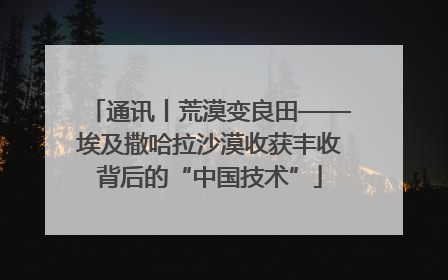 通讯丨荒漠变良田——埃及撒哈拉沙漠收获丰收背后的“中国技术”