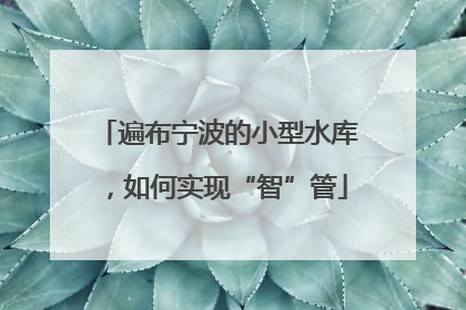 遍布宁波的小型水库，如何实现“智”管