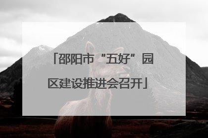 邵阳市“五好”园区建设推进会召开