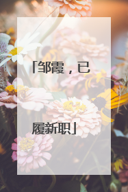 邹霞，已履新职