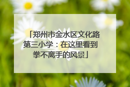 郑州市金水区文化路第三小学：在这里看到拳不离手的风景