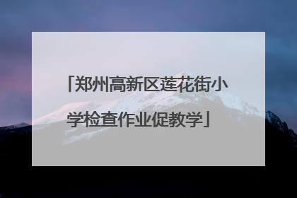 郑州高新区莲花街小学检查作业促教学