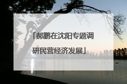 郝鹏在沈阳专题调研民营经济发展