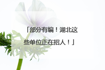 部分有编！湖北这些单位正在招人！