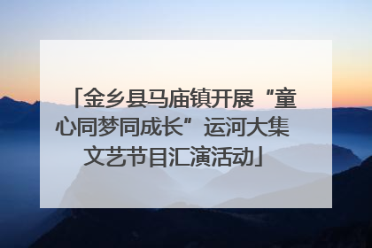 金乡县马庙镇开展“童心同梦同成长”运河大集文艺节目汇演活动
