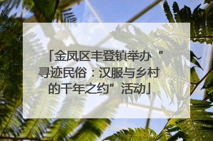 金凤区丰登镇举办“寻迹民俗：汉服与乡村的千年之约”活动