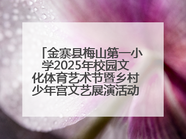 金寨县梅山第一小学2025年校园文化体育艺术节暨乡村少年宫文艺展演活动圆满落幕