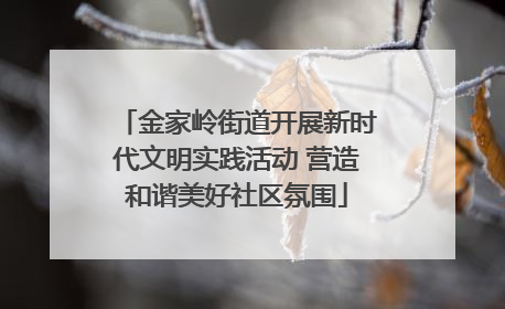 金家岭街道开展新时代文明实践活动 营造和谐美好社区氛围