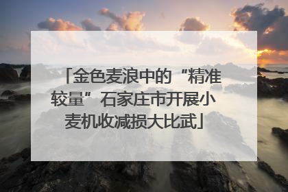 金色麦浪中的“精准较量”石家庄市开展小麦机收减损大比武